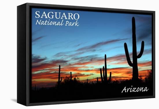 Saguaro National Park, Arizona - Cactus Silhouettes-Lantern Press-Framed Stretched Canvas