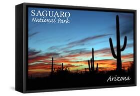 Saguaro National Park, Arizona - Cactus Silhouettes-Lantern Press-Framed Stretched Canvas