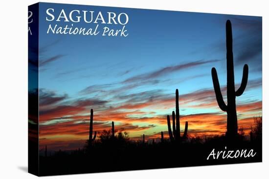 Saguaro National Park, Arizona - Cactus Silhouettes-Lantern Press-Stretched Canvas