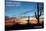 Saguaro National Park, Arizona - Cactus Silhouettes-Lantern Press-Mounted Premium Giclee Print