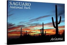 Saguaro National Park, Arizona - Cactus Silhouettes-Lantern Press-Stretched Canvas