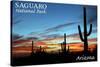 Saguaro National Park, Arizona - Cactus Silhouettes-Lantern Press-Stretched Canvas