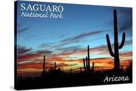 Saguaro National Park, Arizona - Cactus Silhouettes-Lantern Press-Stretched Canvas