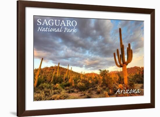 Saguaro National Park, Arizona - Day Scene-Lantern Press-Framed Art Print