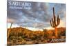 Saguaro National Park, Arizona - Day Scene-Lantern Press-Mounted Art Print