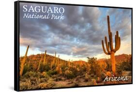 Saguaro National Park, Arizona - Day Scene-Lantern Press-Framed Stretched Canvas