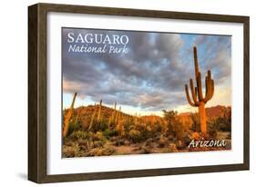 Saguaro National Park, Arizona - Day Scene-Lantern Press-Framed Art Print