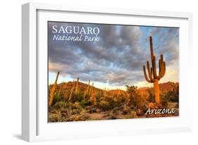 Saguaro National Park, Arizona - Day Scene-Lantern Press-Framed Art Print