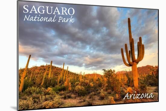 Saguaro National Park, Arizona - Day Scene-Lantern Press-Mounted Art Print