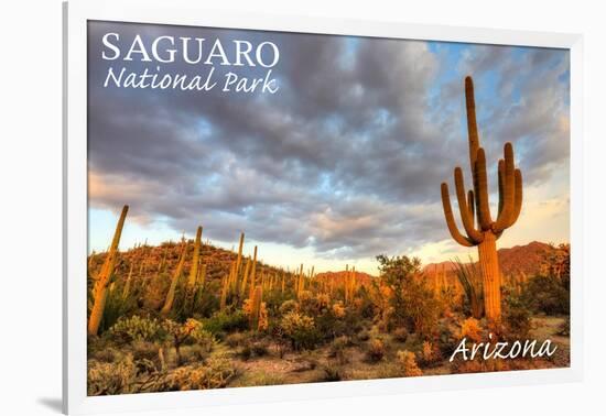 Saguaro National Park, Arizona - Day Scene-Lantern Press-Framed Art Print