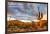 Saguaro National Park, Arizona - Day Scene-Lantern Press-Framed Art Print