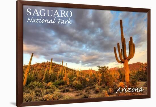 Saguaro National Park, Arizona - Day Scene-Lantern Press-Framed Art Print