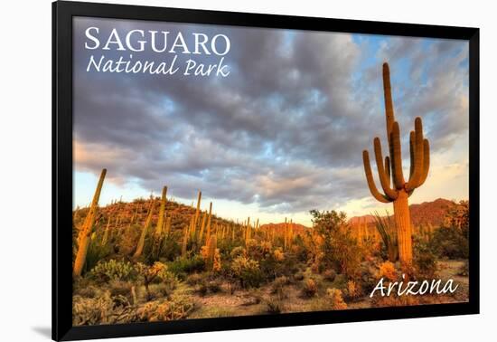 Saguaro National Park, Arizona - Day Scene-Lantern Press-Framed Art Print