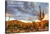 Saguaro National Park, Arizona - Day Scene-Lantern Press-Stretched Canvas
