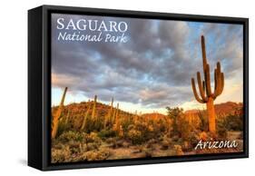 Saguaro National Park, Arizona - Day Scene-Lantern Press-Framed Stretched Canvas