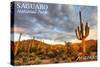 Saguaro National Park, Arizona - Day Scene-Lantern Press-Stretched Canvas