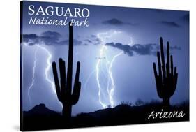 Saguaro National Park, Arizona - Lightning at Night-Lantern Press-Stretched Canvas