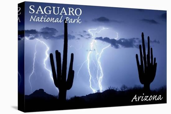 Saguaro National Park, Arizona - Lightning at Night-Lantern Press-Stretched Canvas