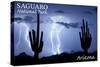 Saguaro National Park, Arizona - Lightning at Night-Lantern Press-Stretched Canvas