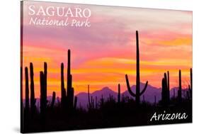 Saguaro National Park, Arizona - Orange and Pink Sunset-Lantern Press-Stretched Canvas