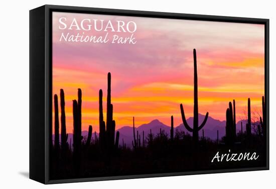 Saguaro National Park, Arizona - Orange and Pink Sunset-Lantern Press-Framed Stretched Canvas