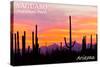 Saguaro National Park, Arizona - Orange and Pink Sunset-Lantern Press-Stretched Canvas