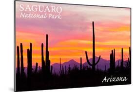 Saguaro National Park, Arizona - Orange and Pink Sunset-Lantern Press-Mounted Art Print