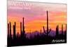 Saguaro National Park, Arizona - Orange and Pink Sunset-Lantern Press-Mounted Premium Giclee Print