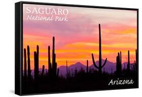 Saguaro National Park, Arizona - Orange and Pink Sunset-Lantern Press-Framed Stretched Canvas