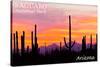 Saguaro National Park, Arizona - Orange and Pink Sunset-Lantern Press-Stretched Canvas