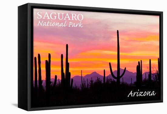 Saguaro National Park, Arizona - Orange and Pink Sunset-Lantern Press-Framed Stretched Canvas