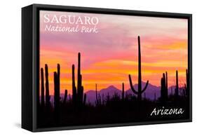 Saguaro National Park, Arizona - Orange and Pink Sunset-Lantern Press-Framed Stretched Canvas