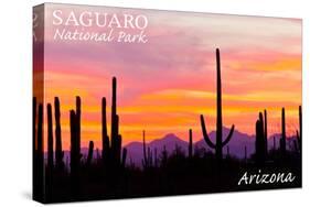 Saguaro National Park, Arizona - Orange and Pink Sunset-Lantern Press-Stretched Canvas