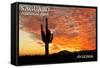 Saguaro National Park, Arizona - Orange Sunset-Lantern Press-Framed Stretched Canvas