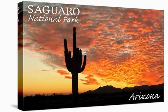 Saguaro National Park, Arizona - Orange Sunset-Lantern Press-Stretched Canvas