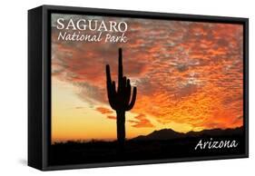 Saguaro National Park, Arizona - Orange Sunset-Lantern Press-Framed Stretched Canvas