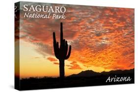 Saguaro National Park, Arizona - Orange Sunset-Lantern Press-Stretched Canvas