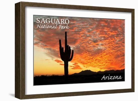 Saguaro National Park, Arizona - Orange Sunset-Lantern Press-Framed Art Print