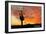 Saguaro National Park, Arizona - Orange Sunset-Lantern Press-Framed Art Print