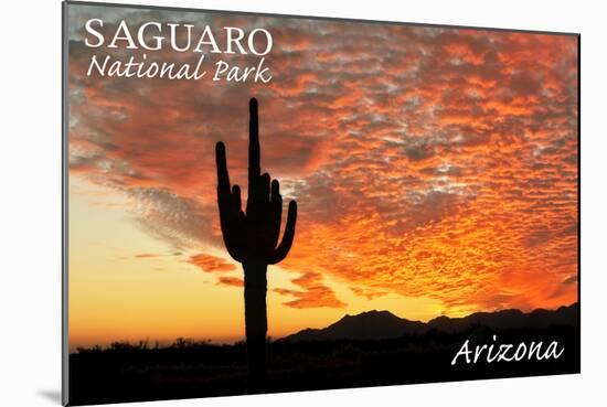 Saguaro National Park, Arizona - Orange Sunset-Lantern Press-Mounted Art Print