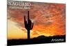 Saguaro National Park, Arizona - Orange Sunset-Lantern Press-Mounted Premium Giclee Print