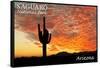 Saguaro National Park, Arizona - Orange Sunset-Lantern Press-Framed Stretched Canvas