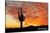 Saguaro National Park, Arizona - Orange Sunset-Lantern Press-Stretched Canvas