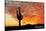 Saguaro National Park, Arizona - Orange Sunset-Lantern Press-Stretched Canvas