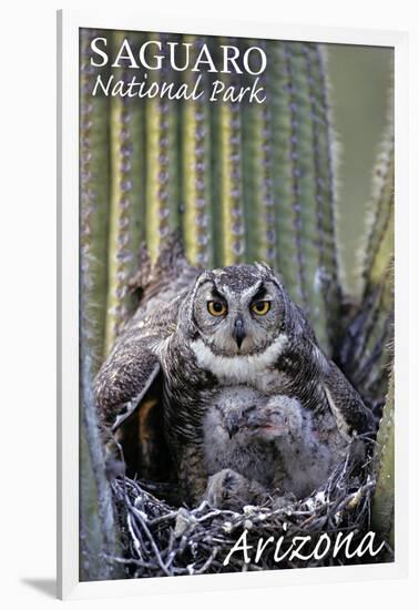 Saguaro National Park, Arizona - Owl and Babies-Lantern Press-Framed Art Print