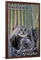 Saguaro National Park, Arizona - Owl and Babies-Lantern Press-Framed Art Print