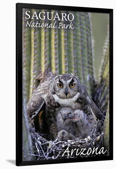 Saguaro National Park, Arizona - Owl and Babies-Lantern Press-Framed Art Print