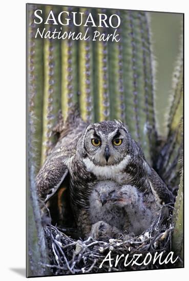 Saguaro National Park, Arizona - Owl and Babies-Lantern Press-Mounted Art Print