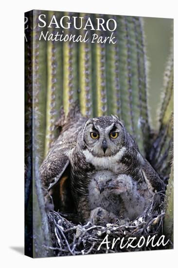 Saguaro National Park, Arizona - Owl and Babies-Lantern Press-Stretched Canvas