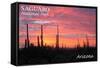 Saguaro National Park, Arizona - Pink Sunset-Lantern Press-Framed Stretched Canvas